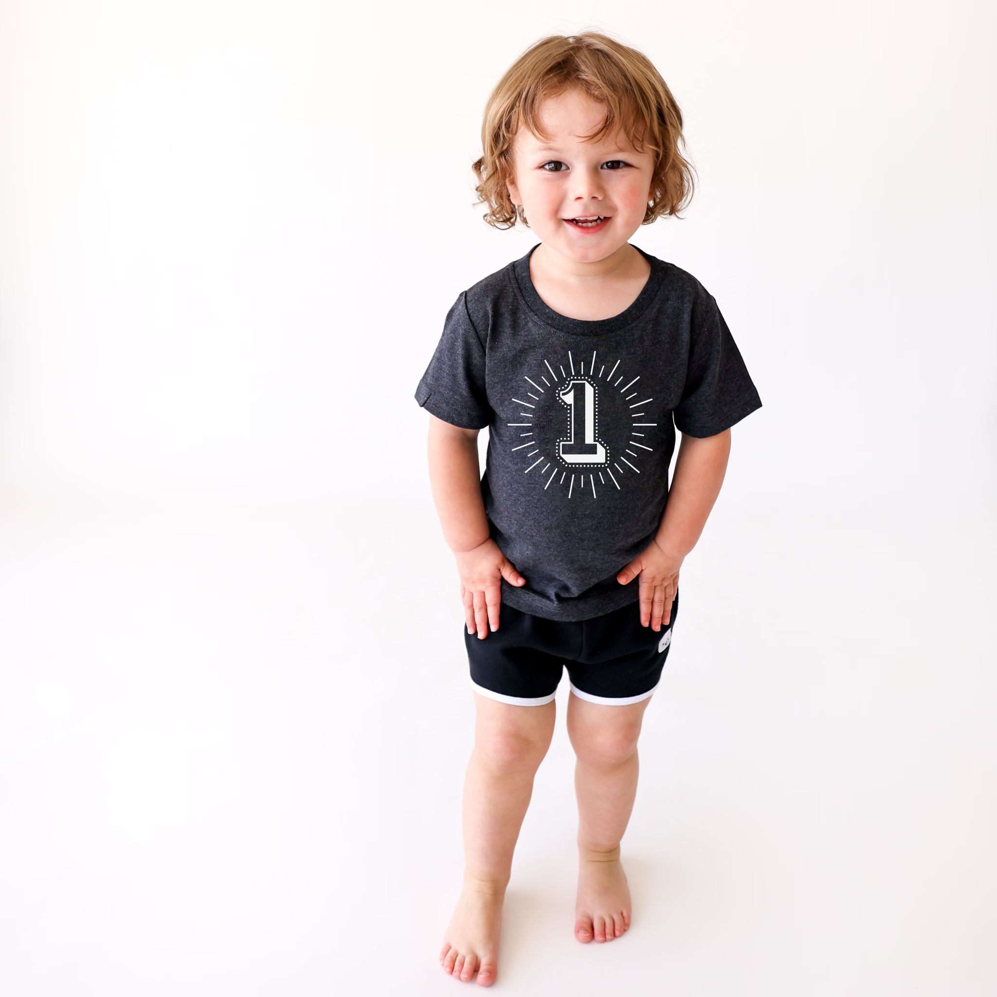 Milestone Shirt Bundle (Numbers 1-5)