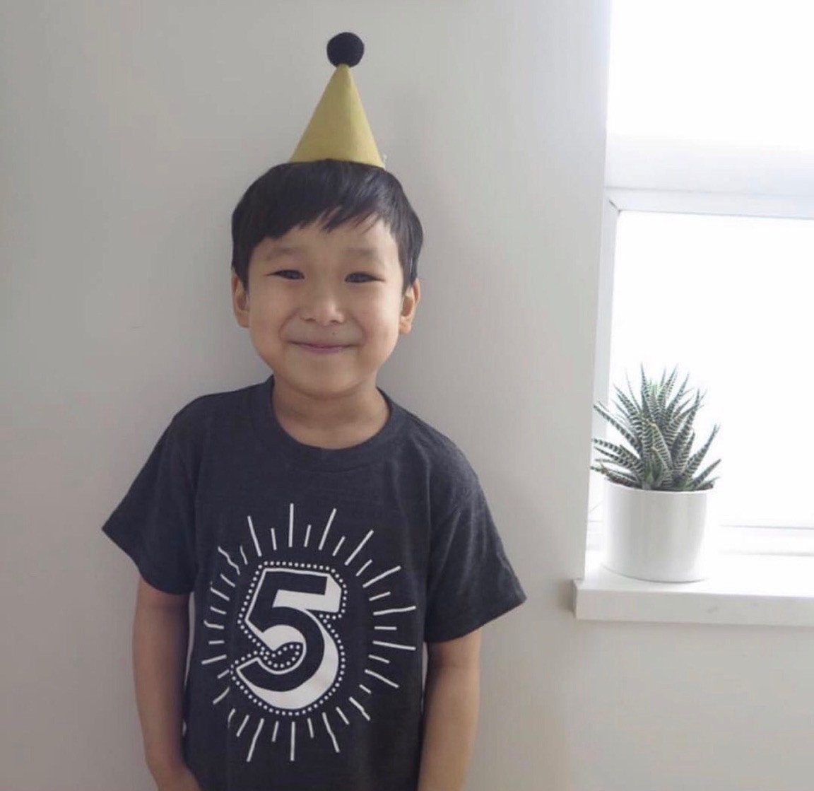 Milestone Shirt Bundle (Numbers 1-5)