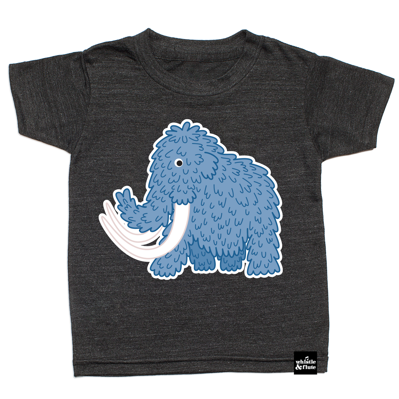 ARCHIVED WHISTLE & FLUTE ADULT