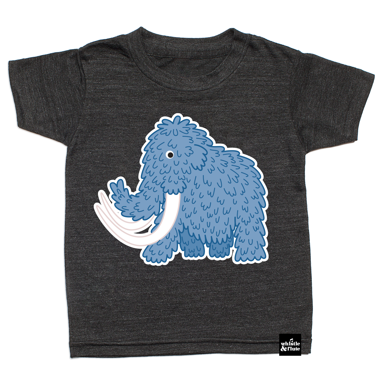 ARCHIVED WHISTLE & FLUTE ADULT